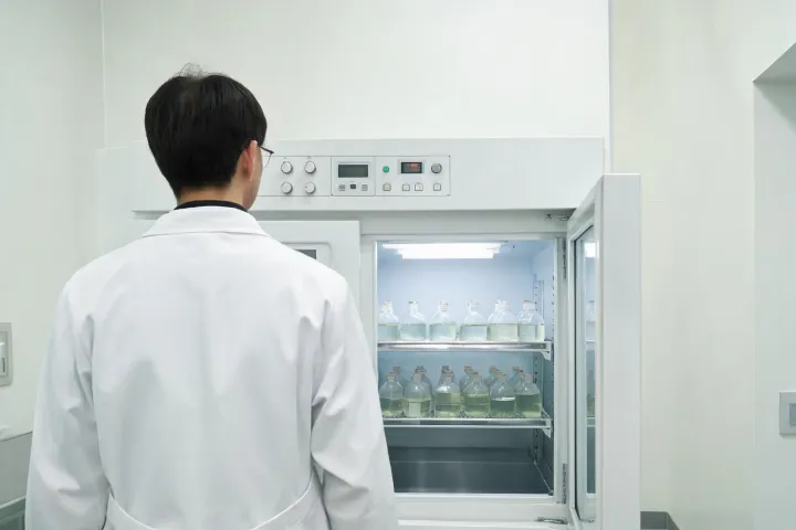 Cell culture incubator monitoring